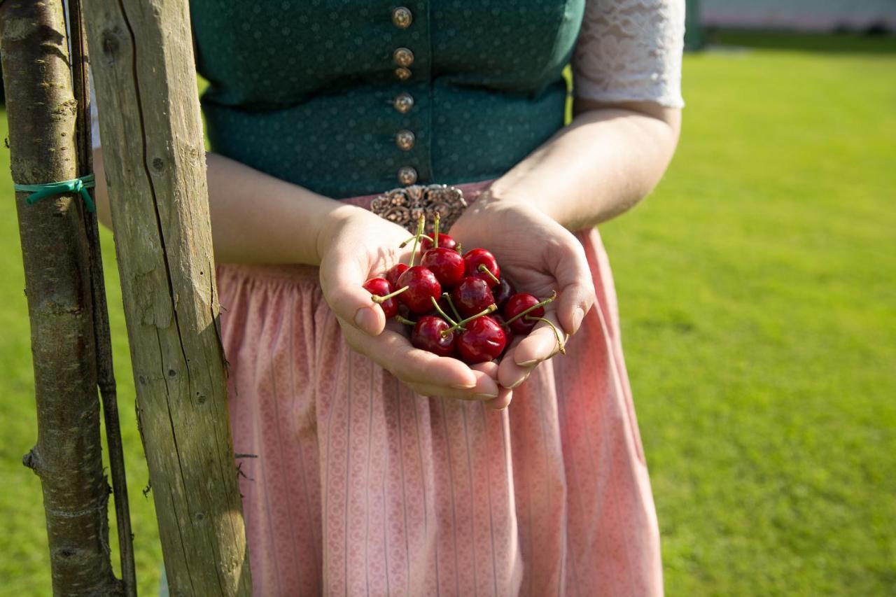 Obstgarten Gaestehaus Hollenstein an der Ybbs Exteriör bild