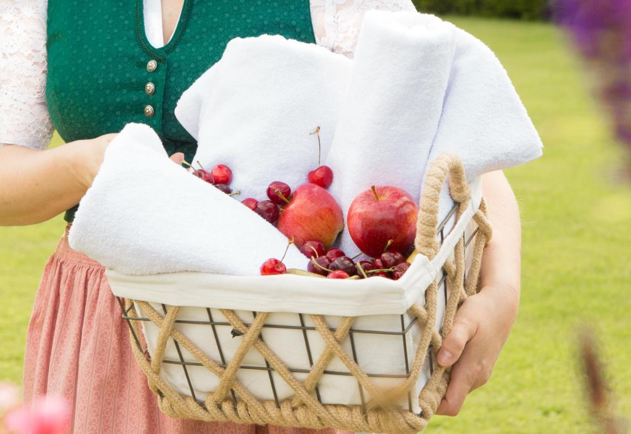 Obstgarten Gaestehaus Hollenstein an der Ybbs Exteriör bild